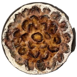 Gâteau aux pruneaux 24cm