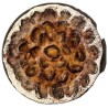 Kuchen Zwetschgen 24cm